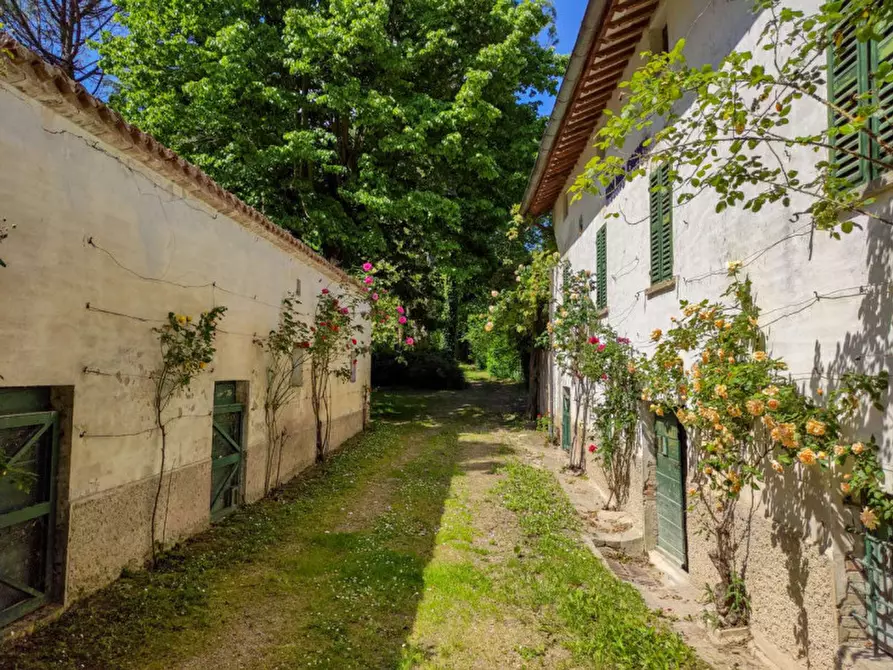 Immagine 6 di Rustico / casale in vendita  in via Molinello a Sant'angelo In Vado
