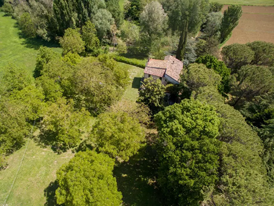 Immagine 7 di Rustico / casale in vendita  in via Molinello a Sant'angelo In Vado