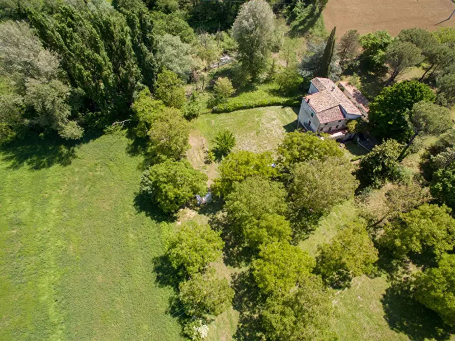 Immagine 8 di Rustico / casale in vendita  in via Molinello a Sant'angelo In Vado