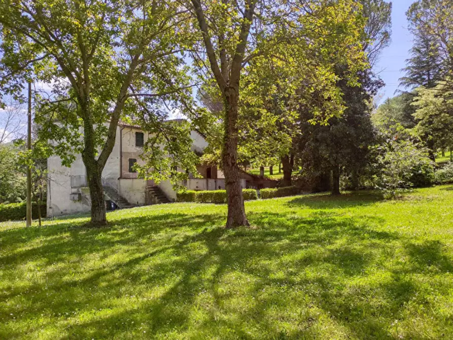 Immagine 31 di Rustico / casale in vendita  in via Molinello a Sant'angelo In Vado