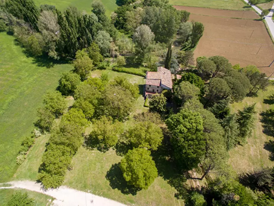 Immagine 35 di Rustico / casale in vendita  in via Molinello a Sant'angelo In Vado