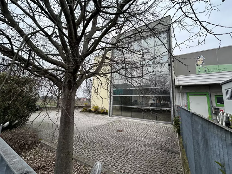 Immagine 3 di Laboratorio in vendita  in VIA MISURINA a Mestrino