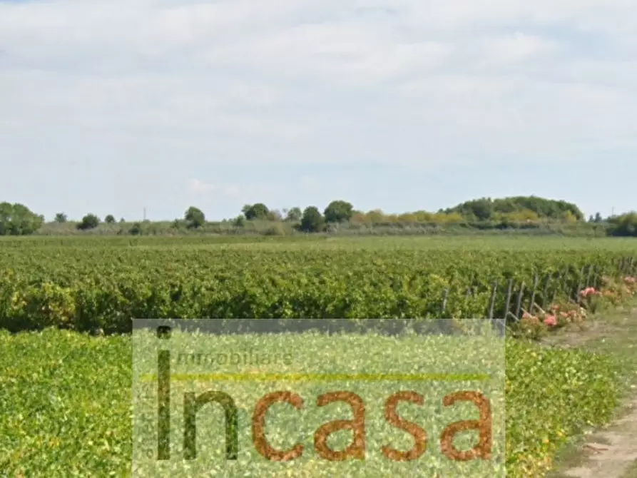 Immagine 3 di Terreno in vendita  in Via Annia a Ceggia