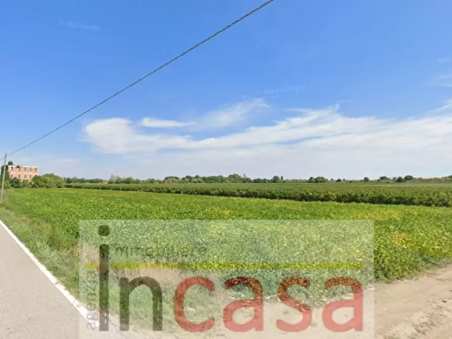 Immagine 4 di Terreno in vendita  in Via Annia a Ceggia