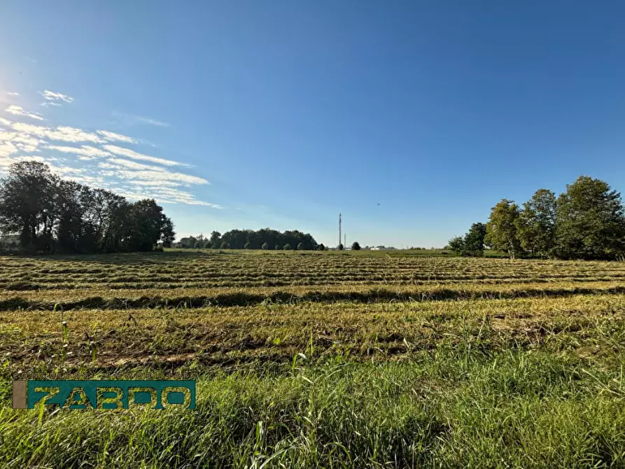 Immagine 1 di Terreno in vendita  a Castelfranco Veneto