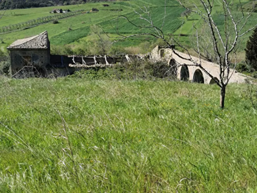 Immagine 1 di Terreno in vendita  a Girifalco