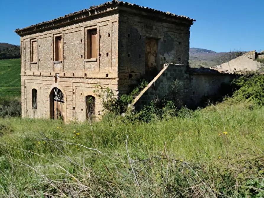 Immagine 2 di Terreno in vendita  a Girifalco