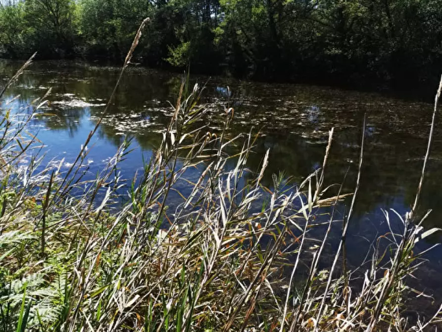 Immagine 3 di Terreno in vendita  a Girifalco