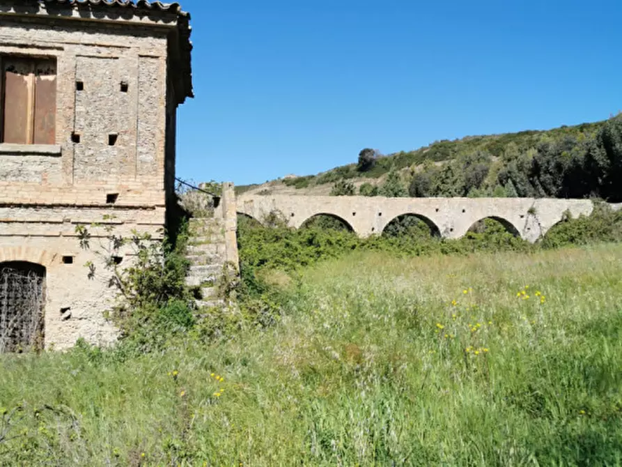 Immagine 4 di Terreno in vendita  a Girifalco