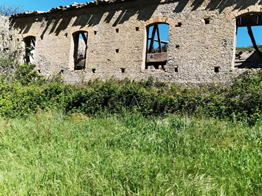 Immagine 5 di Terreno in vendita  a Girifalco