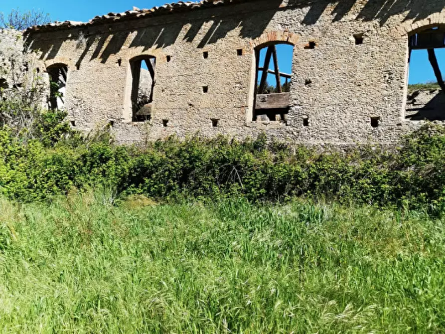 Immagine 6 di Terreno in vendita  a Girifalco