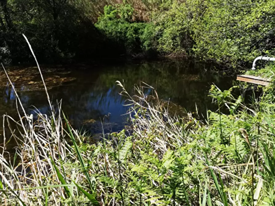 Immagine 9 di Terreno in vendita  a Girifalco