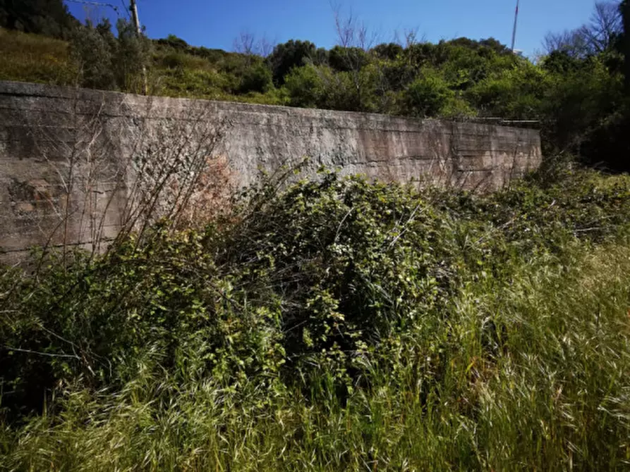 Immagine 10 di Terreno in vendita  a Girifalco