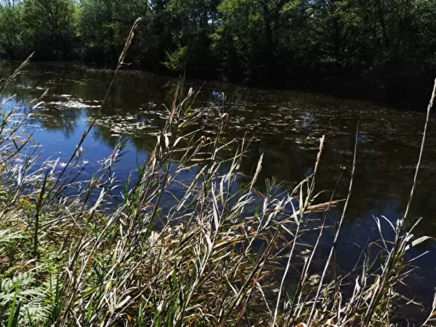 Immagine 14 di Terreno in vendita  a Girifalco