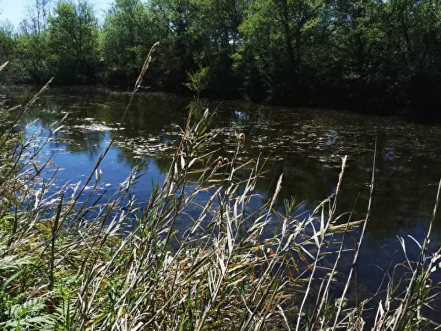 Immagine 15 di Terreno in vendita  a Girifalco