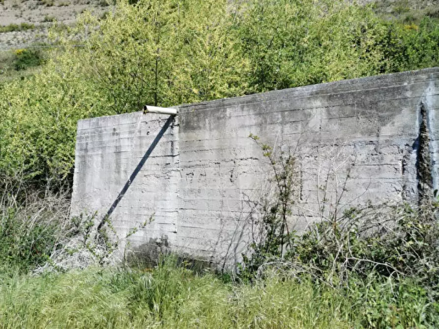 Immagine 16 di Terreno in vendita  a Girifalco