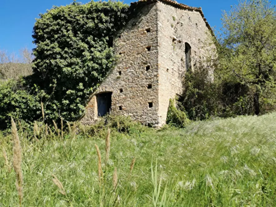 Immagine 18 di Terreno in vendita  a Girifalco