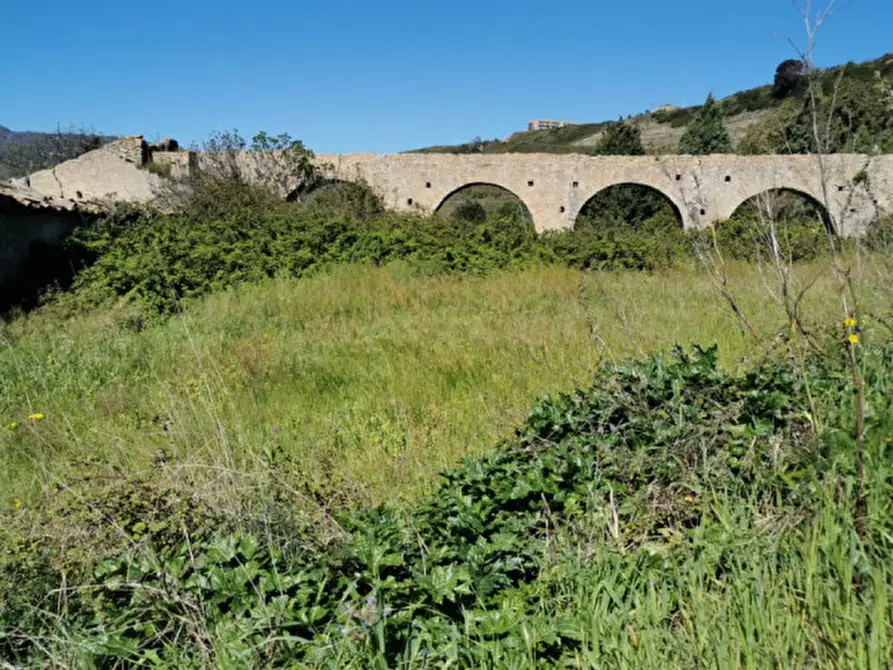 Immagine 19 di Terreno in vendita  a Girifalco