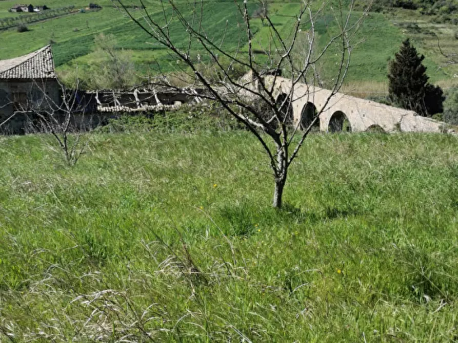 Immagine 20 di Terreno in vendita  a Girifalco