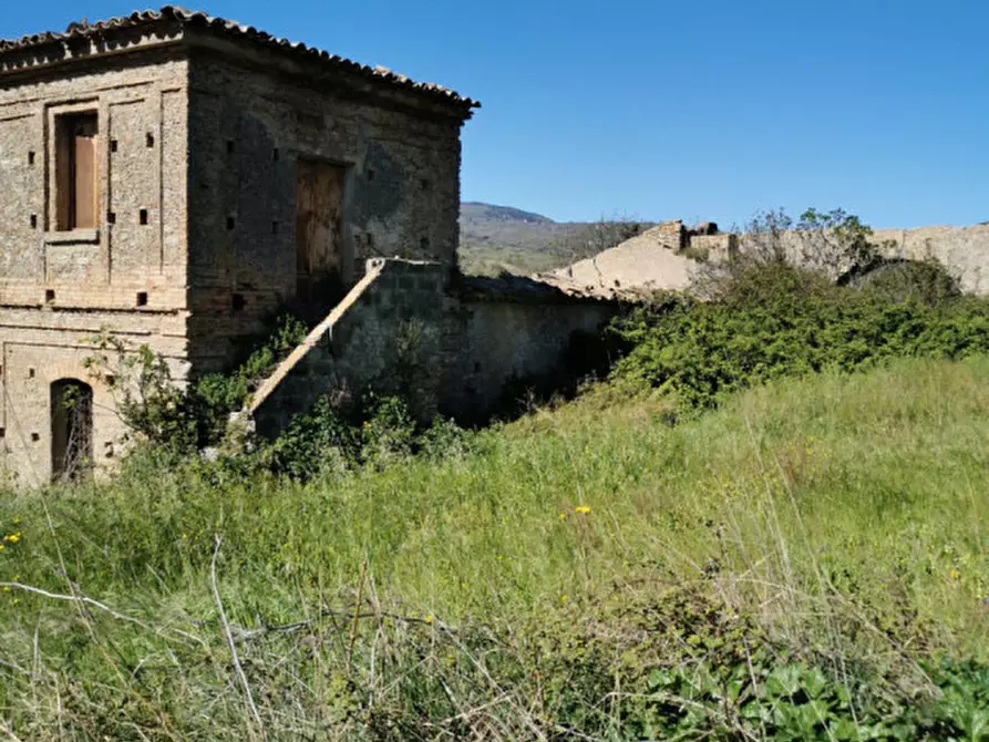 Immagine 21 di Terreno in vendita  a Girifalco