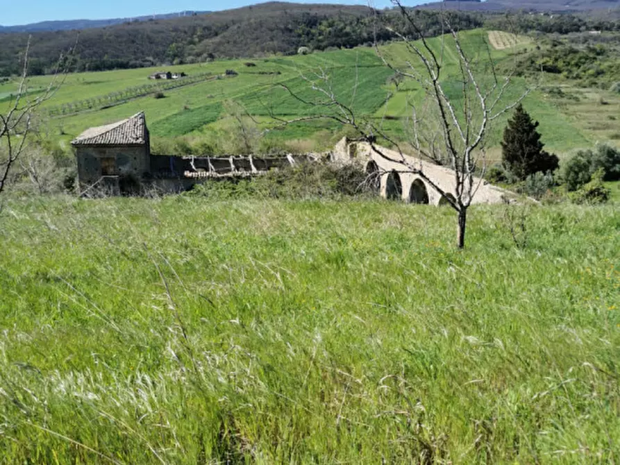 Immagine 22 di Terreno in vendita  a Girifalco