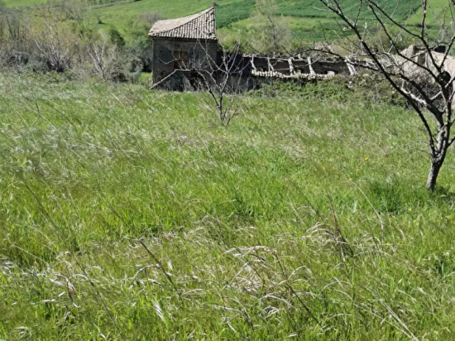 Immagine 23 di Terreno in vendita  a Girifalco