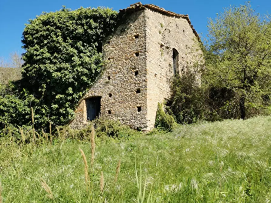 Immagine 24 di Terreno in vendita  a Girifalco