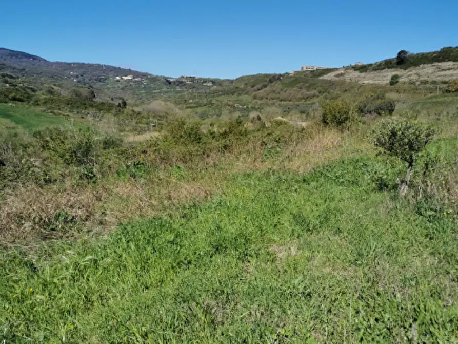 Immagine 25 di Terreno in vendita  a Girifalco