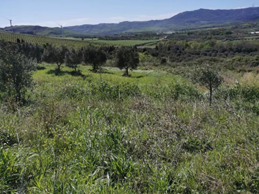 Immagine 26 di Terreno in vendita  a Girifalco
