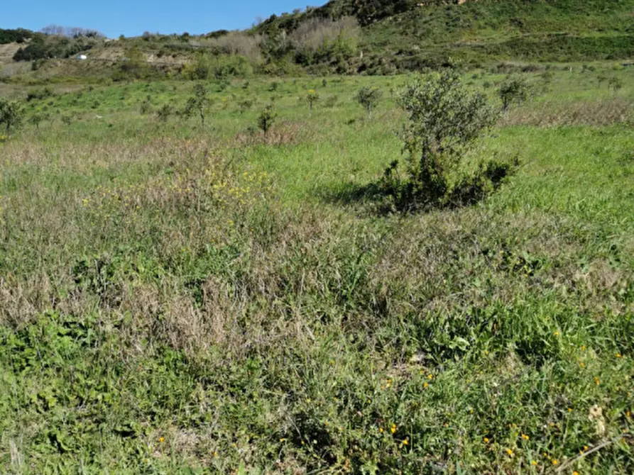 Immagine 27 di Terreno in vendita  a Girifalco