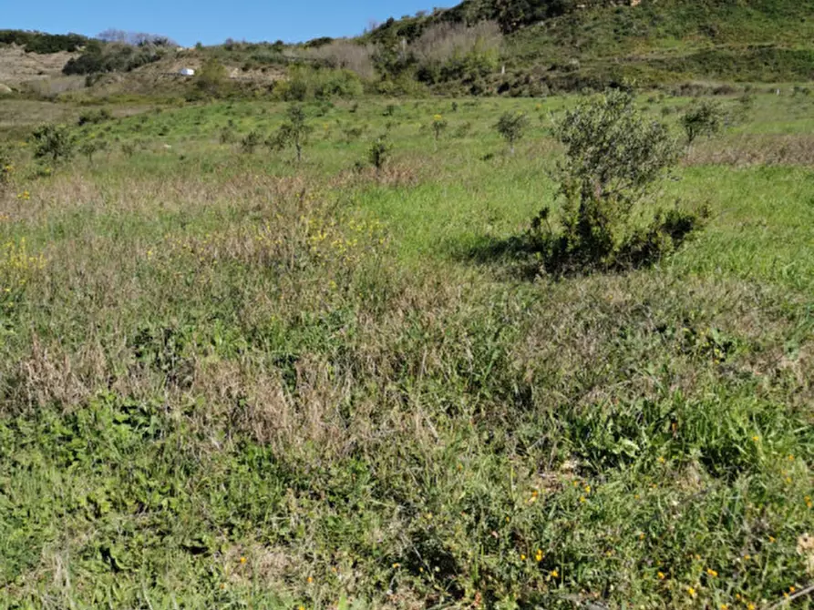 Immagine 28 di Terreno in vendita  a Girifalco
