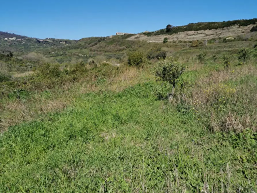 Immagine 29 di Terreno in vendita  a Girifalco