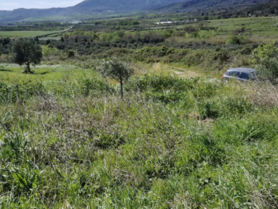 Immagine 32 di Terreno in vendita  a Girifalco