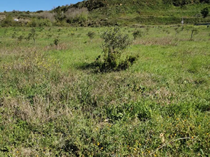 Immagine 34 di Terreno in vendita  a Girifalco