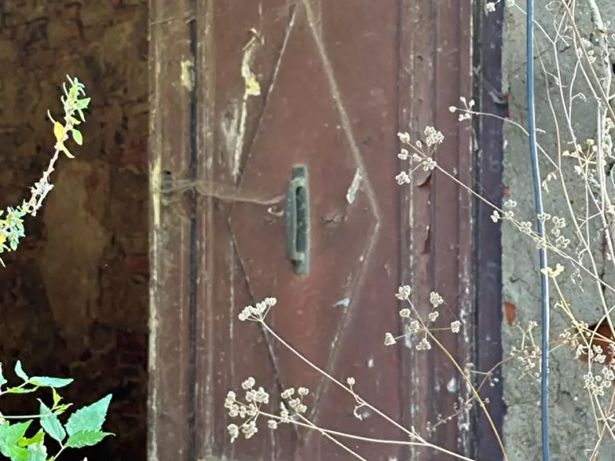 Immagine 21 di Rustico / casale in vendita  in periferia a Terranuova Bracciolini