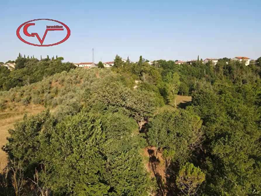 Immagine 30 di Rustico / casale in vendita  in periferia a Terranuova Bracciolini