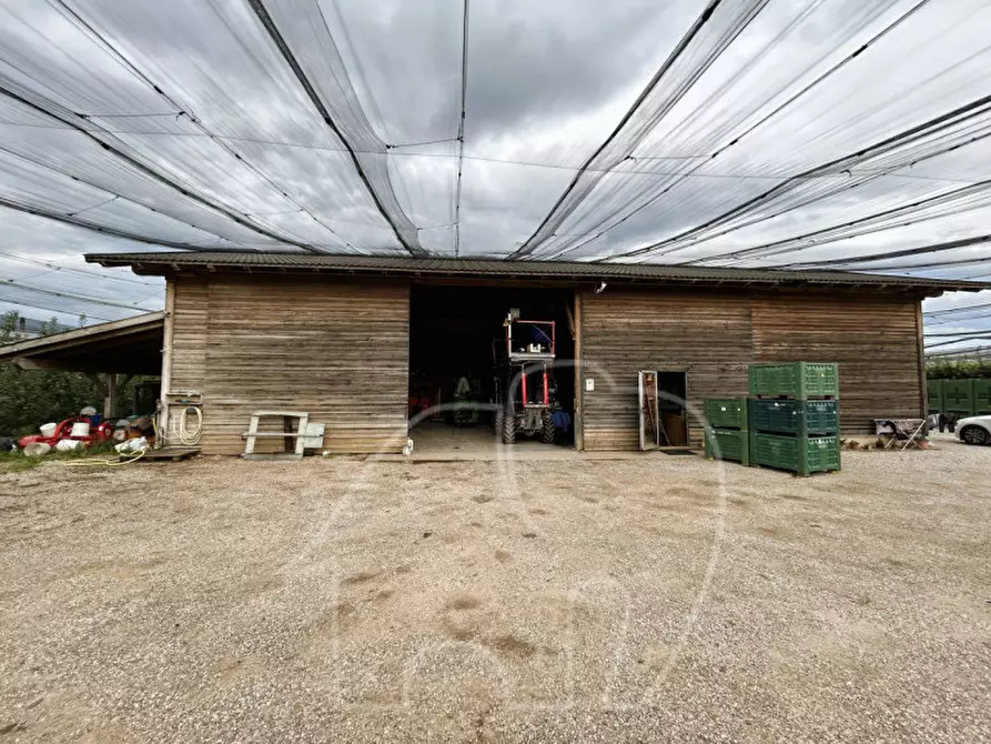 Immagine 2 di Casa indipendente in vendita  a Castions Di Strada