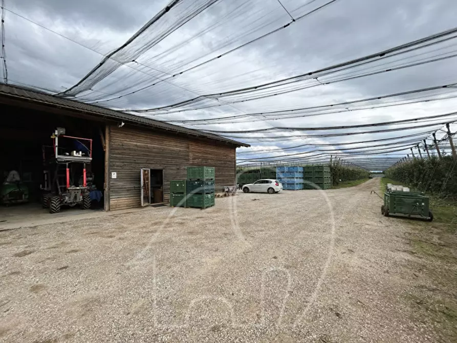 Immagine 3 di Casa indipendente in vendita  a Castions Di Strada