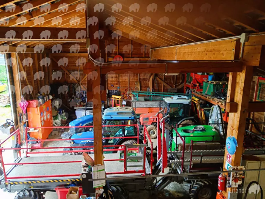 Immagine 4 di Casa indipendente in vendita  a Castions Di Strada