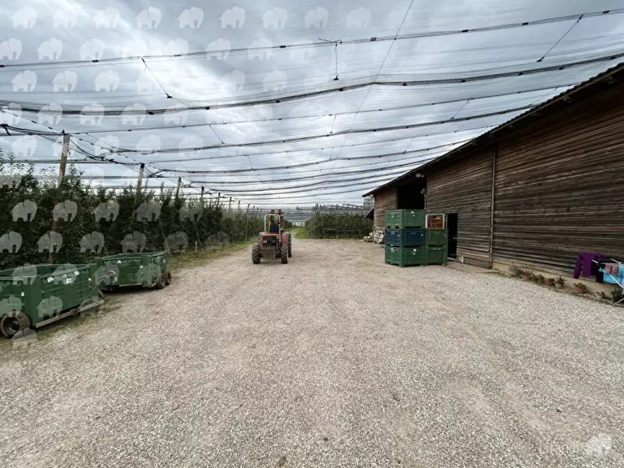 Immagine 5 di Casa indipendente in vendita  a Castions Di Strada