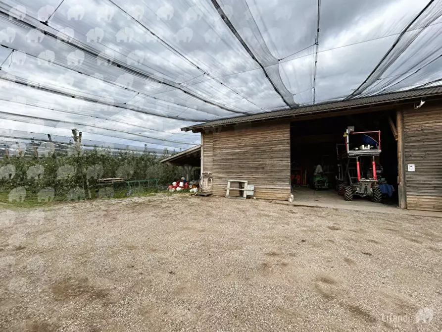 Immagine 6 di Casa indipendente in vendita  a Castions Di Strada