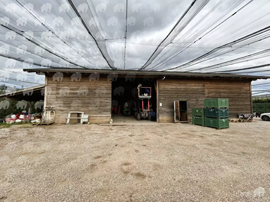 Immagine 8 di Casa indipendente in vendita  a Castions Di Strada
