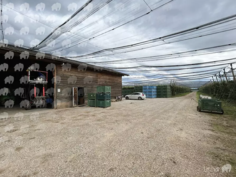 Immagine 9 di Casa indipendente in vendita  a Castions Di Strada