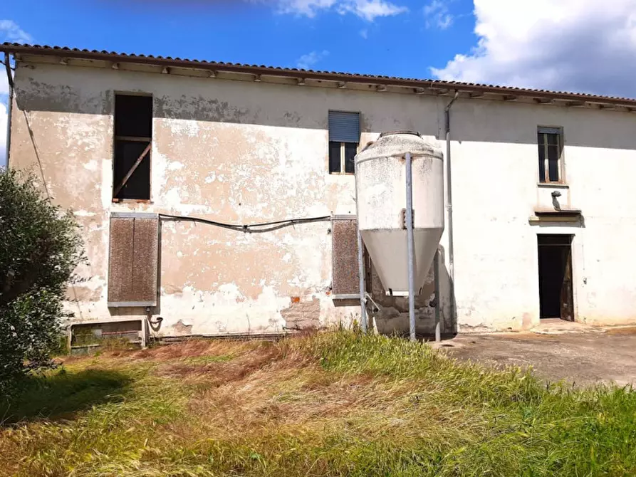 Immagine 3 di Rustico / casale in vendita  a Valeggio Sul Mincio