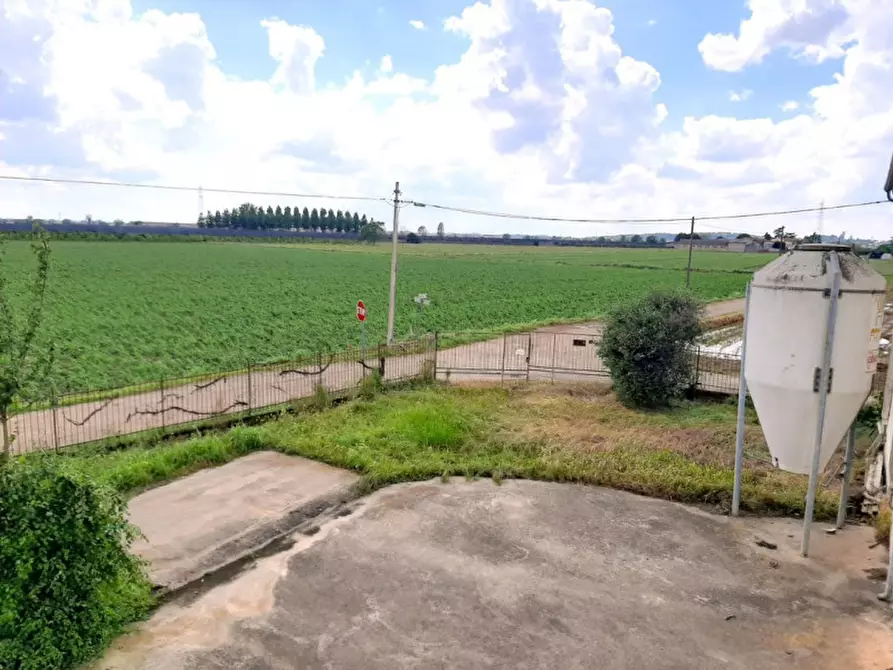 Immagine 9 di Rustico / casale in vendita  a Valeggio Sul Mincio