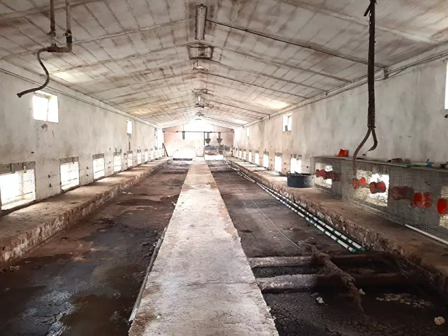 Immagine 10 di Rustico / casale in vendita  a Valeggio Sul Mincio