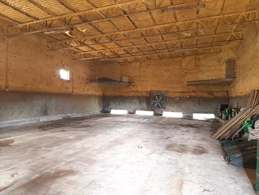 Immagine 13 di Rustico / casale in vendita  a Valeggio Sul Mincio