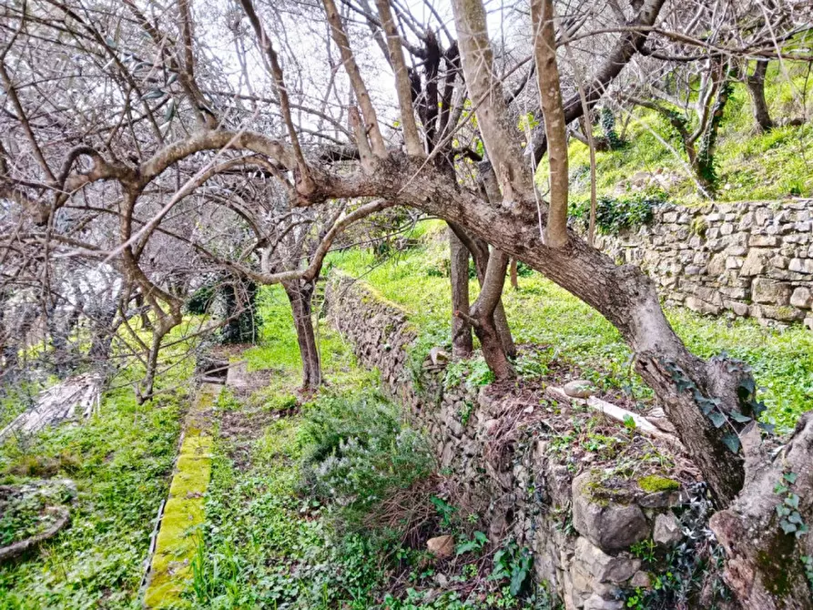 Immagine 25 di Casa indipendente in vendita  in Strada Suseneo Inferiore a San Remo