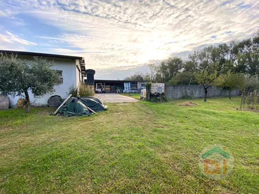 Immagine 9 di Capannone industriale in vendita  in via gorizia 86 a Farra D'isonzo