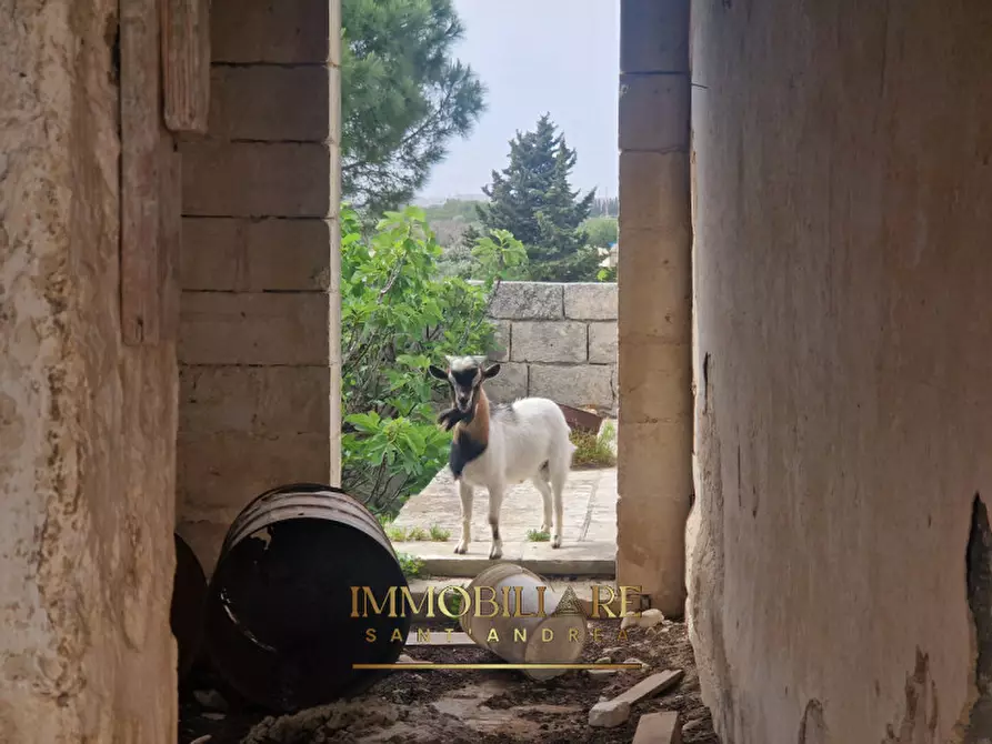 Immagine 14 di Casa indipendente in vendita  in lizzanello-merine a Lizzanello